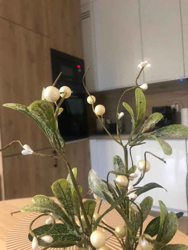 Apartament Kameralis Old Town - Klimatyzacja - Balkon - Winda Елблаг Екстериор снимка